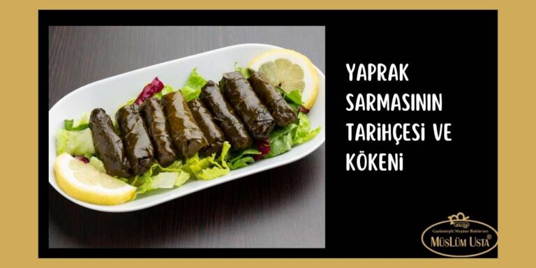 yaprak-sarmasinin-tarihcesi-ve-kokeni
