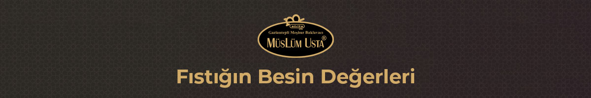 fıstıgın-besin-degerleri-gorsel-1