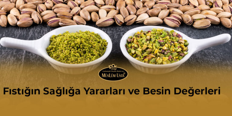 fistigin-sagliga-yararlari-ve-besin-degerleri-gorsel-1