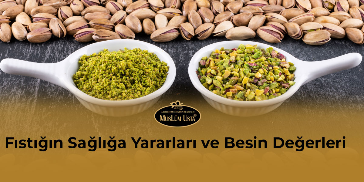 fistigin-sagliga-yararlari-ve-besin-degerleri-gorsel-1 fistigin-sagliga-yararlari-ve-besin-degerleri-gorsel-1