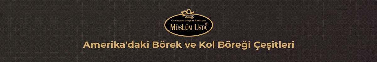 amerika-daki-borek-ve-kol-böregi-cesitleri-gorsel-1