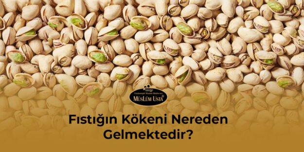 fistigin-kokeni-nereden-gelmektedir-gorsel-1 fistigin-kokeni-nereden-gelmektedir-gorsel-1