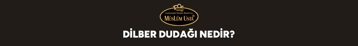 dilber-dudagi-nedir-gorsel