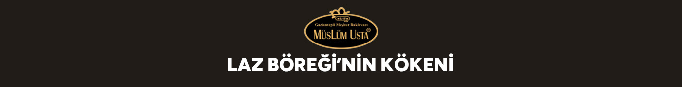 laz-boreginin-kokeni-gorsel
