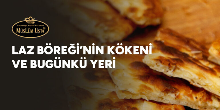 laz-boreginin-kokeni-ve-bugunku-yeri-gorsel