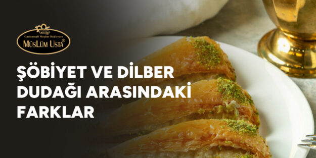 sobiyet-ve-dilber-dudagi-arasindaki-farklar-gorsel