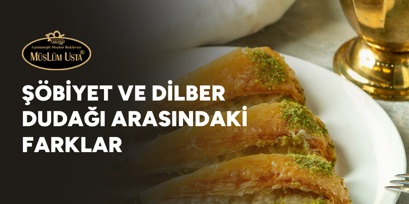 sobiyet-ve-dilber-dudagi-arasindaki-farklar-gorsel