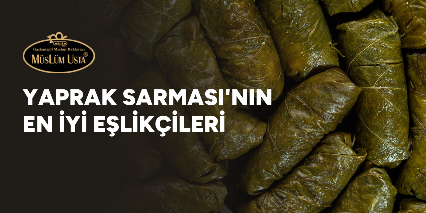 yaprak-sarmasinin-en-iyi-eslikcileri-gorsel