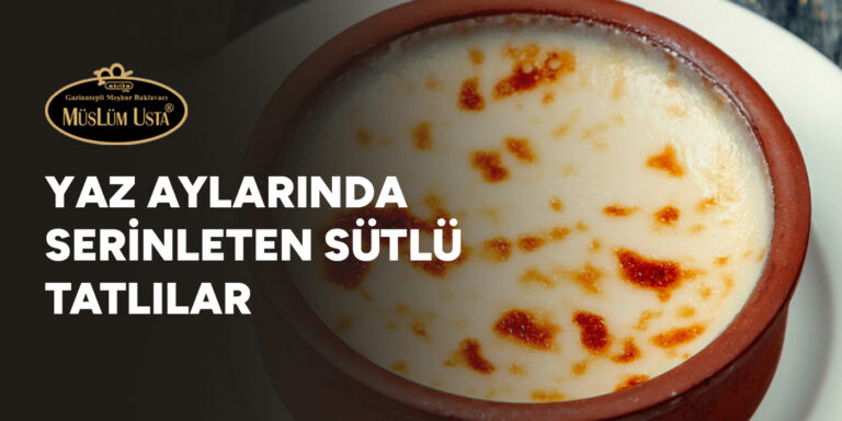 yaz-aylarinda-serinleten-sutlu-tatlilar-gorsel